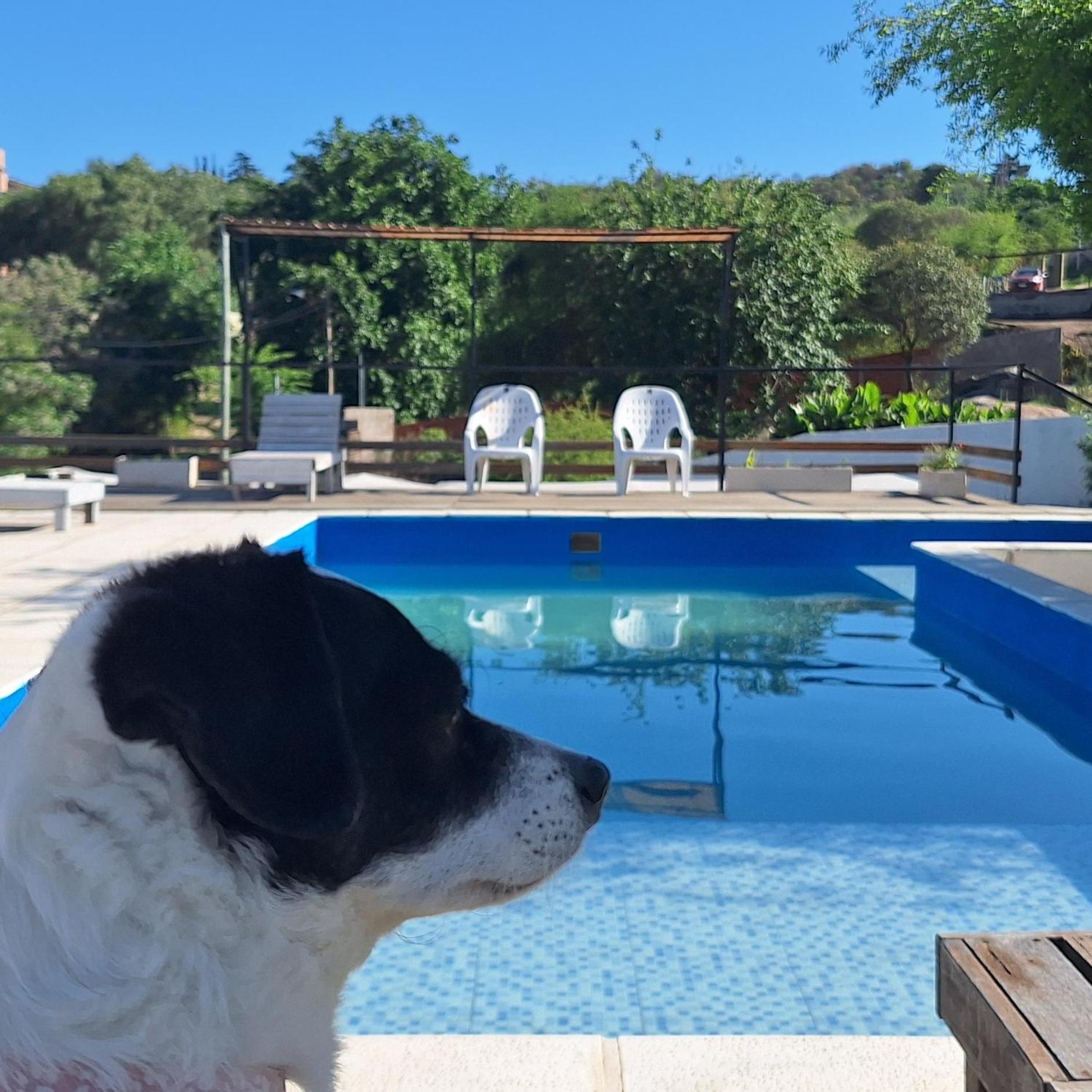 Apartamento Simion